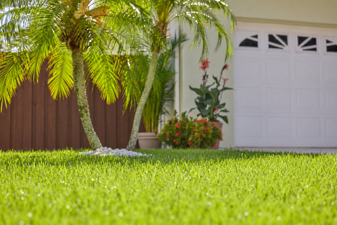 Drought-tolerant turf in Covina, CA
