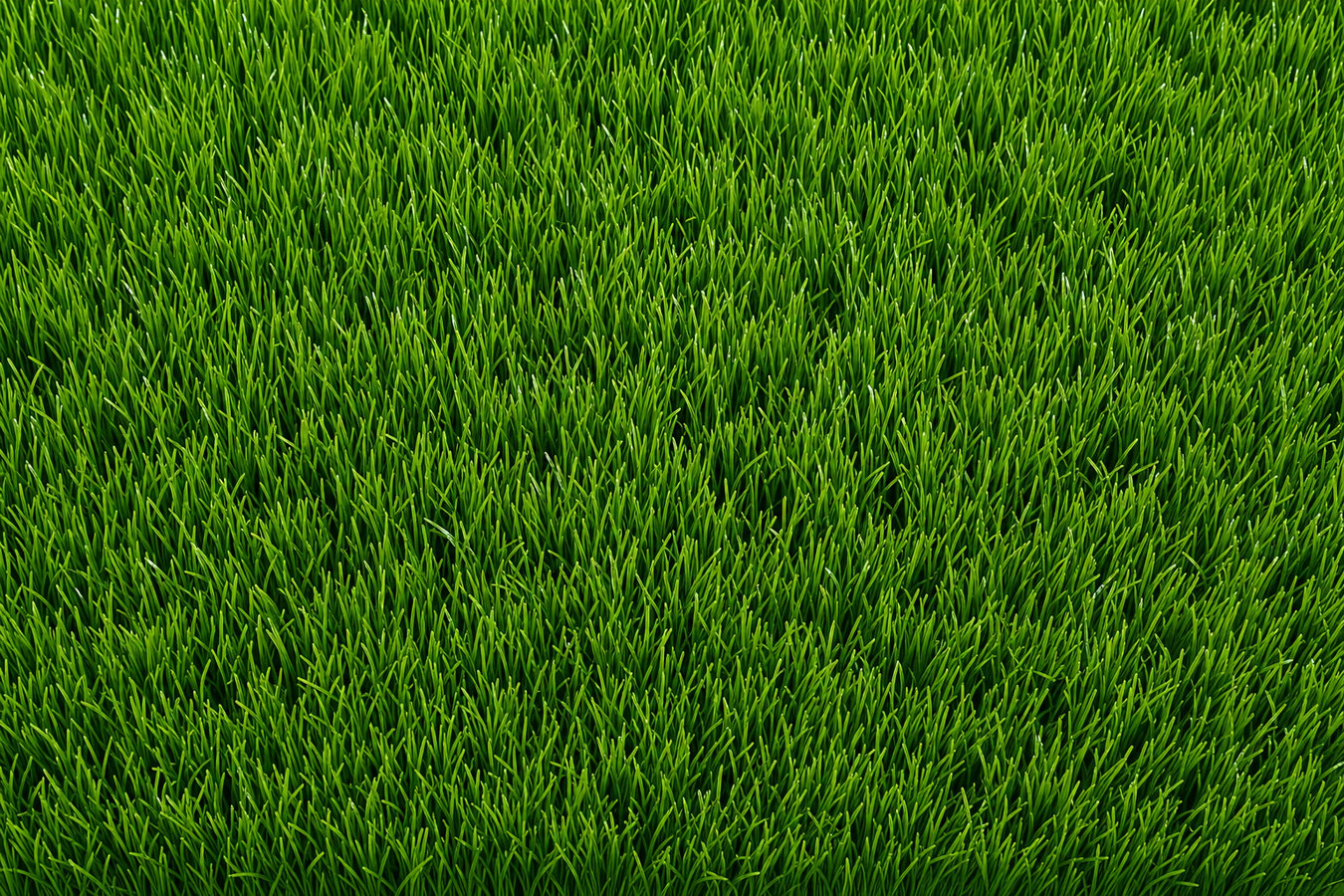 Synthetic lawn turf in Covina, CA